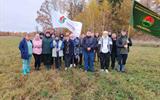 изображение_viber_2024-11-01_10-20-56-482