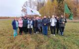изображение_viber_2024-11-01_10-21-51-483