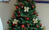 изображение_viber_2025-12-17_08-46-30-201