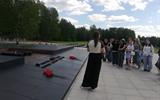 изображение_viber_2026-06-02_14-32-35-710